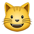 Emoji 😺 Gatto Che Sorride su Samsung One UI 4.0 January 2022.