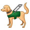 🦮 Emoji Blindenhund Samsung One UI 4.0 January 2022.