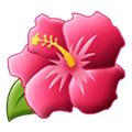 🌺 Emoji Flor De Hibisco en Samsung One UI 4.0 January 2022.