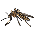🦟 Emoji Mosquito na Samsung One UI 4.0 January 2022.