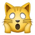 🙀 Emoji erschöpfte Katze Samsung One UI 4.0 January 2022.