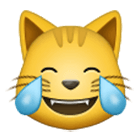 😹 Emoji Rosto De Gato Com Lágrimas De Alegria na Samsung One UI 4.0.