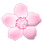 🌸 Emoji Flor De Cerezo en Samsung One UI 4.0.