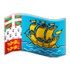 Emoji 🇵🇲 Bandiera: Saint-Pierre E Miquelon su Samsung One UI 4.0.