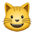 😺 Emoji grinsende Katze Samsung One UI 4.0.