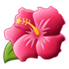 🌺 Emoji Flor De Hibisco en Samsung One UI 4.0.