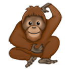 🦧 Emoji Orangután en Samsung One UI 4.0.