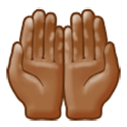 Emoji 🤲🏾 Mani Unite In Alto: Carnagione Abbastanza Scura su Samsung One UI 4.0.