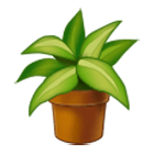 Émoji 🪴 Plante En Pot sur Samsung One UI 4.0.
