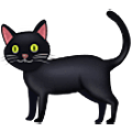 schwarze Katze Samsung One UI 5.0.