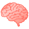 Emoji 🧠 Cervello su Samsung One UI 5.0.