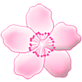 Émoji 🌸 Fleur De Cerisier sur Samsung One UI 5.0.