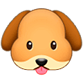 🐶 Emoji Rosto De Cachorro na Samsung One UI 5.0.