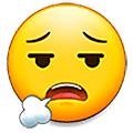 😮‍💨 Emoji Cara Exhalando en Samsung One UI 5.0.