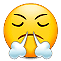 Emoji 😤 Faccina Che Sbuffa su Samsung One UI 5.0.