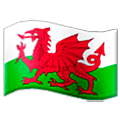 Bandeira: País De Gales Samsung One UI 5.0.