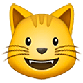 Emoji 😺 Gatto Che Sorride su Samsung One UI 5.0.