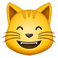 grinsende Katze mit lachenden Augen Samsung One UI 5.0.