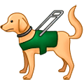 🦮 Emoji Blindenhund Samsung One UI 5.0.