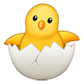 Emoji 🐣 Pulcino Che Nasce su Samsung One UI 5.0.