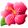 🌺 Emoji Flor De Hibisco en Samsung One UI 5.0.