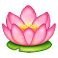 Émoji 🪷 Lotus sur Samsung One UI 6.1.