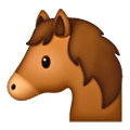 🐴 Emoji Cara De Caballo en Samsung One UI 6.1.