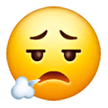 😮‍💨 Emoji Cara Exhalando en Samsung One UI 6.1.