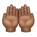 🤲🏾 Emoji Palmas Hacia Arriba Juntas: Tono De Piel Oscuro Medio en Samsung One UI 6.1.