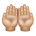 Emoji 🤲🏼 Mani Unite In Alto: Carnagione Abbastanza Chiara su Samsung One UI 6.1.