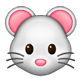 Emoji 🐭 Muso Di Topo su Samsung One UI 6.1.