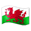🏴󠁧󠁢󠁷󠁬󠁳󠁿 Emoji Bandeira: País De Gales na Samsung One UI 6.1.