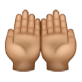 🤲🏽 Emoji Handflächen nach oben: mittlere Hautfarbe Samsung One UI 6.1.