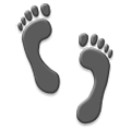 👣 Emoji Fußabdrücke Samsung TouchWiz Nature UX 2.