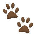 Émoji 🐾 Empreintes D’animaux sur Samsung TouchWiz Nature UX 2.