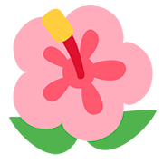 🌺 Emoji Flor De Hibisco en Twitter Twemoji 11.1.