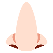 Emoji 👃🏻 Naso: Carnagione Chiara su Twitter Twemoji 11.1.