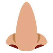 Emoji 👃🏽 Naso: Carnagione Olivastra su Twitter Twemoji 11.2.