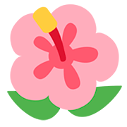 🌺 Emoji Flor De Hibisco en Twitter Twemoji 12.0.