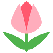 Émoji 🌷 Tulipe sur Twitter Twemoji 12.0.