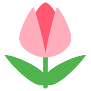 Émoji 🌷 Tulipe sur Twitter Twemoji 12.1.3.