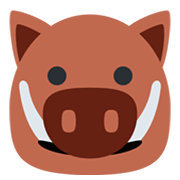 🐗 Emoji Wildschwein Twitter Twemoji 13.0.1.