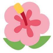 🌺 Emoji Flor De Hibisco en Twitter Twemoji 13.0.1.