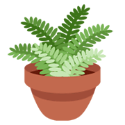 Émoji 🪴 Plante En Pot sur Twitter Twemoji 13.0.1.