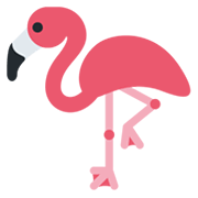 🦩 Emoji Flamingo Twitter Twemoji 13.0.