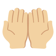 🤲🏼 Emoji Handflächen nach oben: mittelhelle Hautfarbe Twitter Twemoji 13.0.