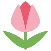 Émoji 🌷 Tulipe sur Twitter Twemoji 13.0.