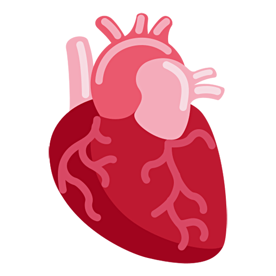 🫀 Emoji Corazón anatómico en Twitter Twemoji 15.0.