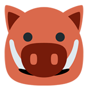 Emoji 🐗 Cinghiale su Twitter Twemoji 2.2.2.