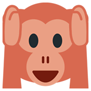 🙉 Emoji sich die Ohren zuhaltendes Affengesicht Twitter Twemoji 2.5.